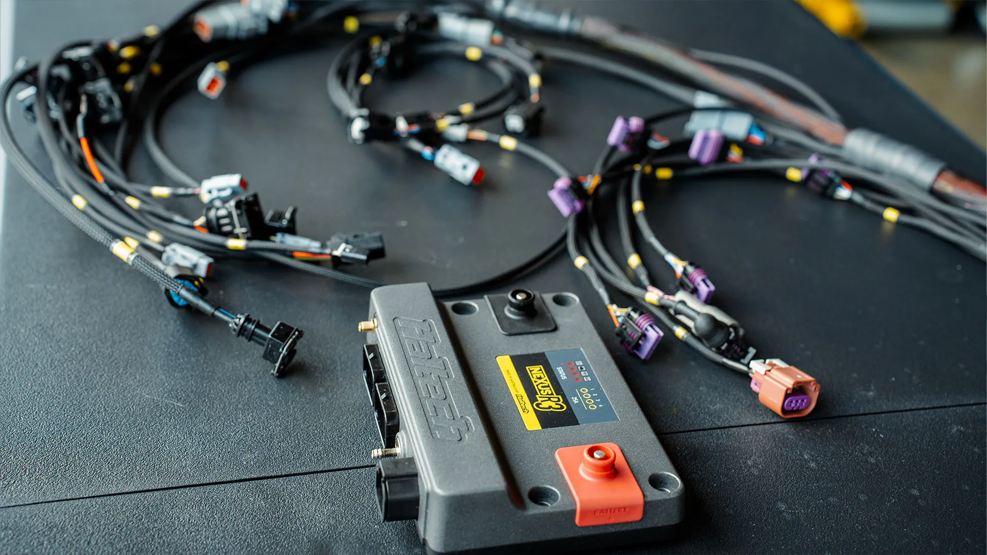 Haltech engine harness