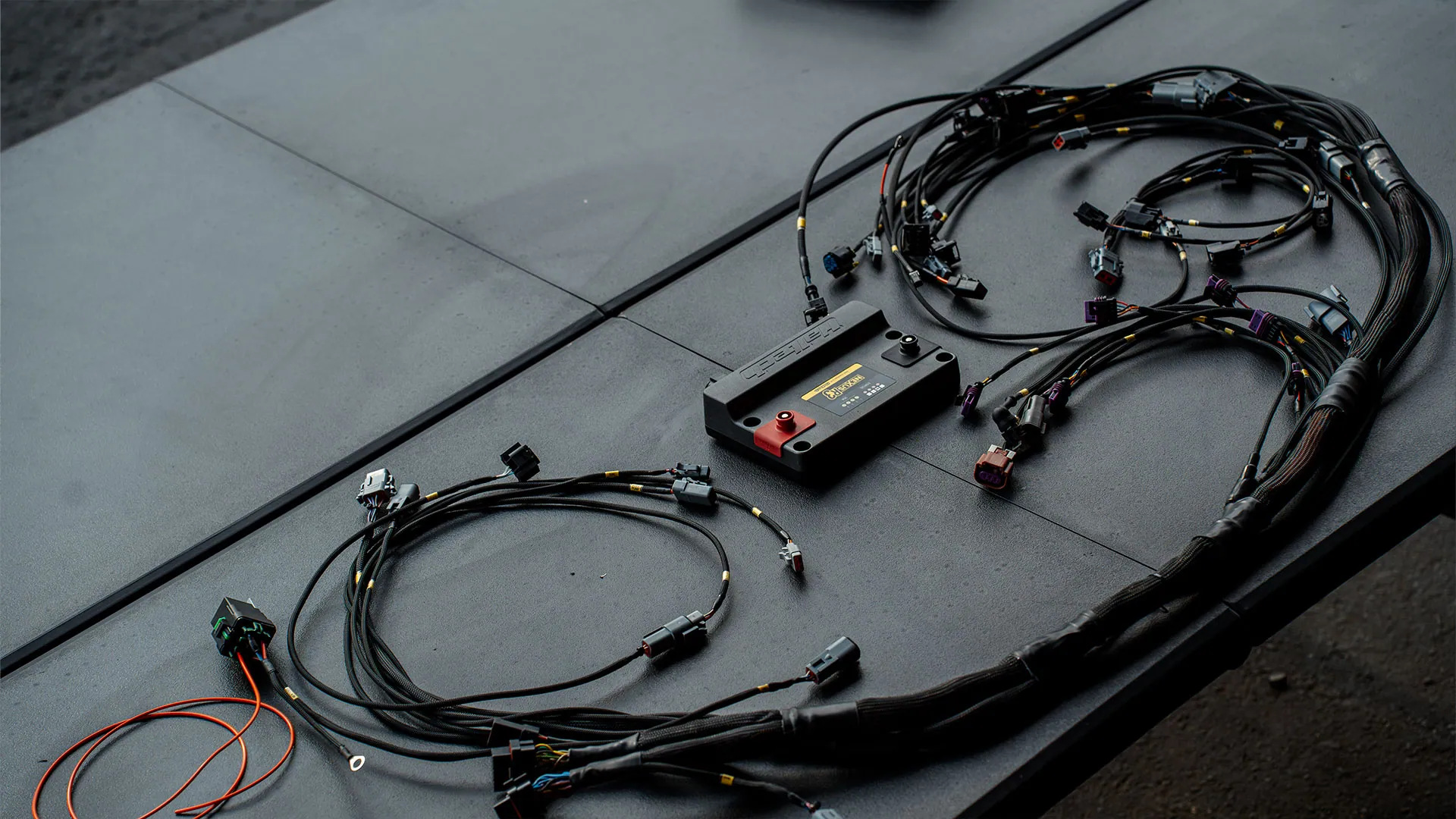 Main harness layout